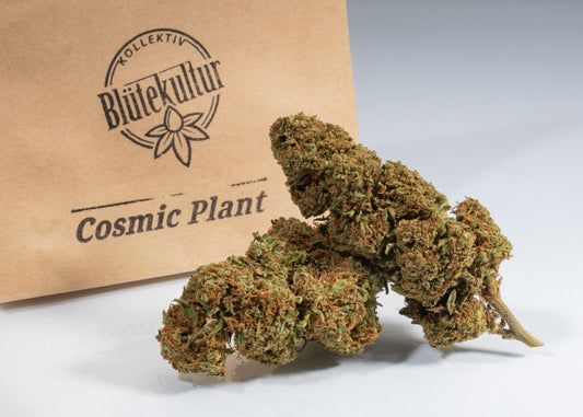Cosmic Plant