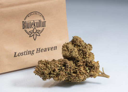 Losting Heaven