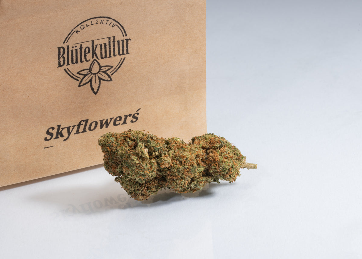 Skyflower`s